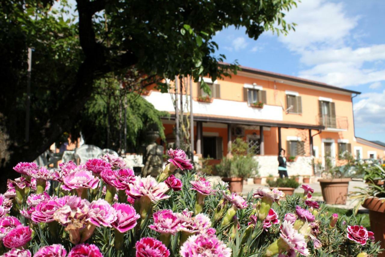 Piedimonte San Germano B&B Casale Shanti المظهر الخارجي الصورة
